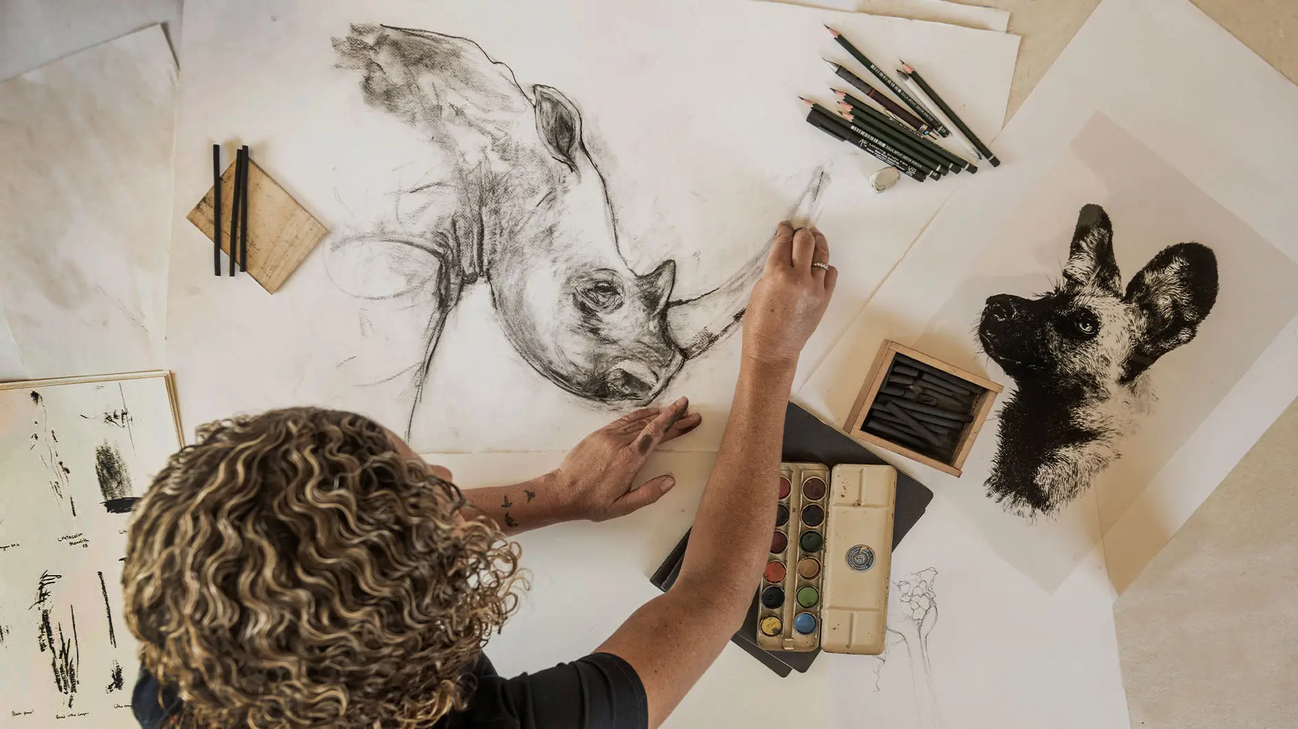 Working on a charcoal rhino study in studio