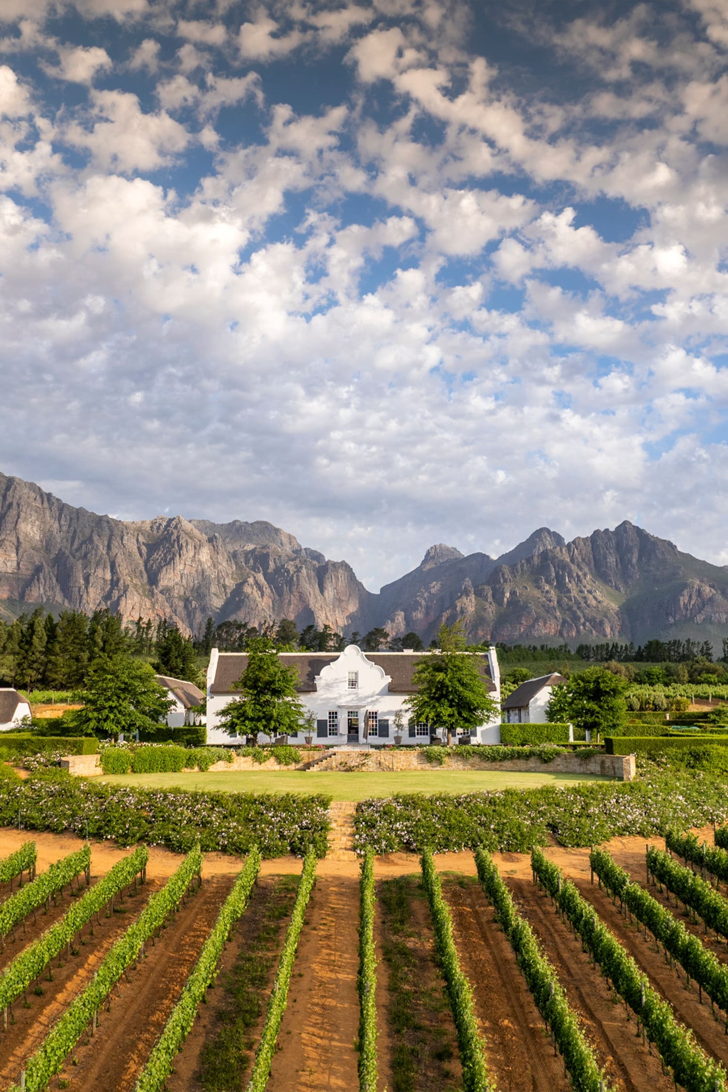 Brookdale Wine Estate