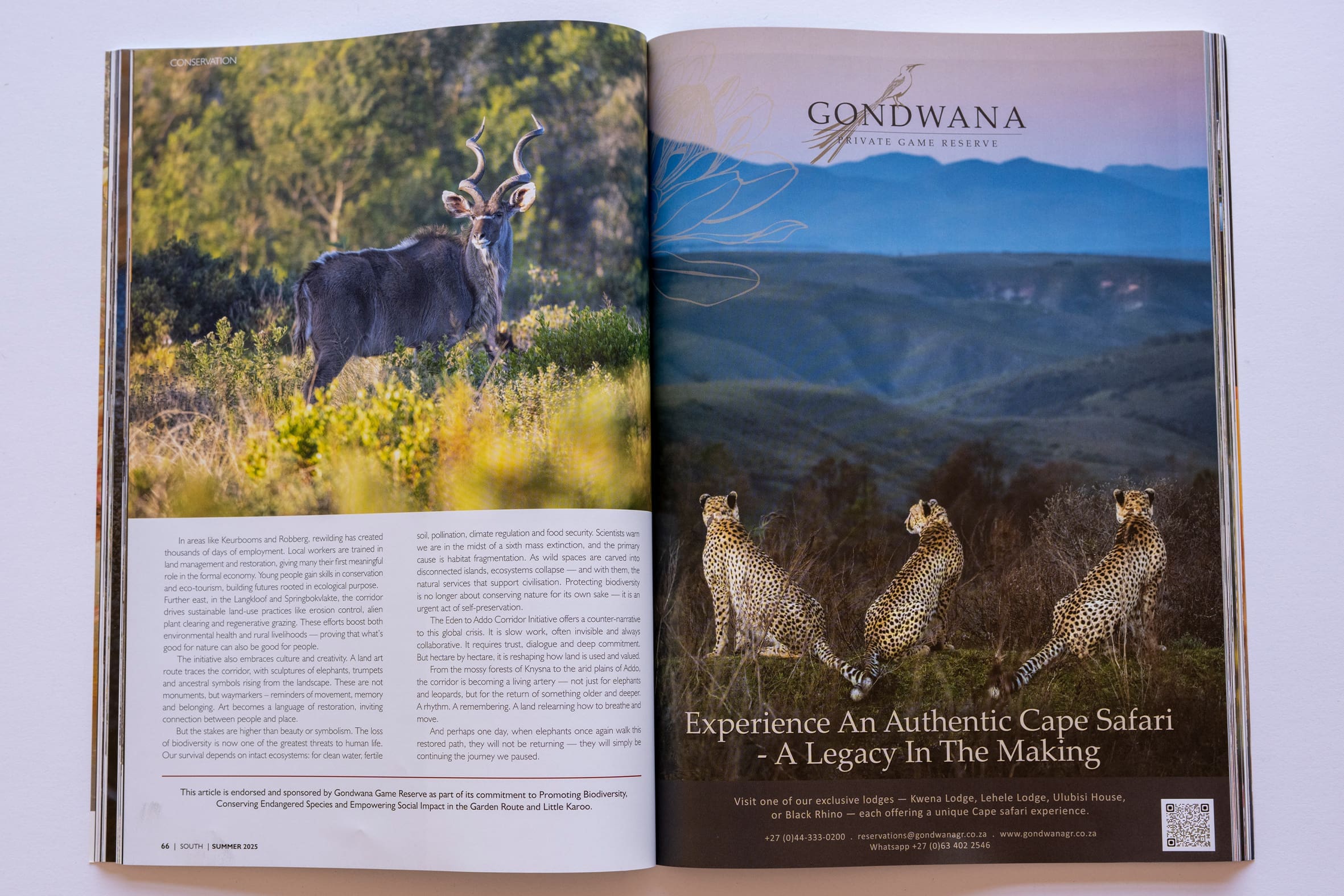 As published in SOUTH Magazine - Photography by Raquel de Castro Maia