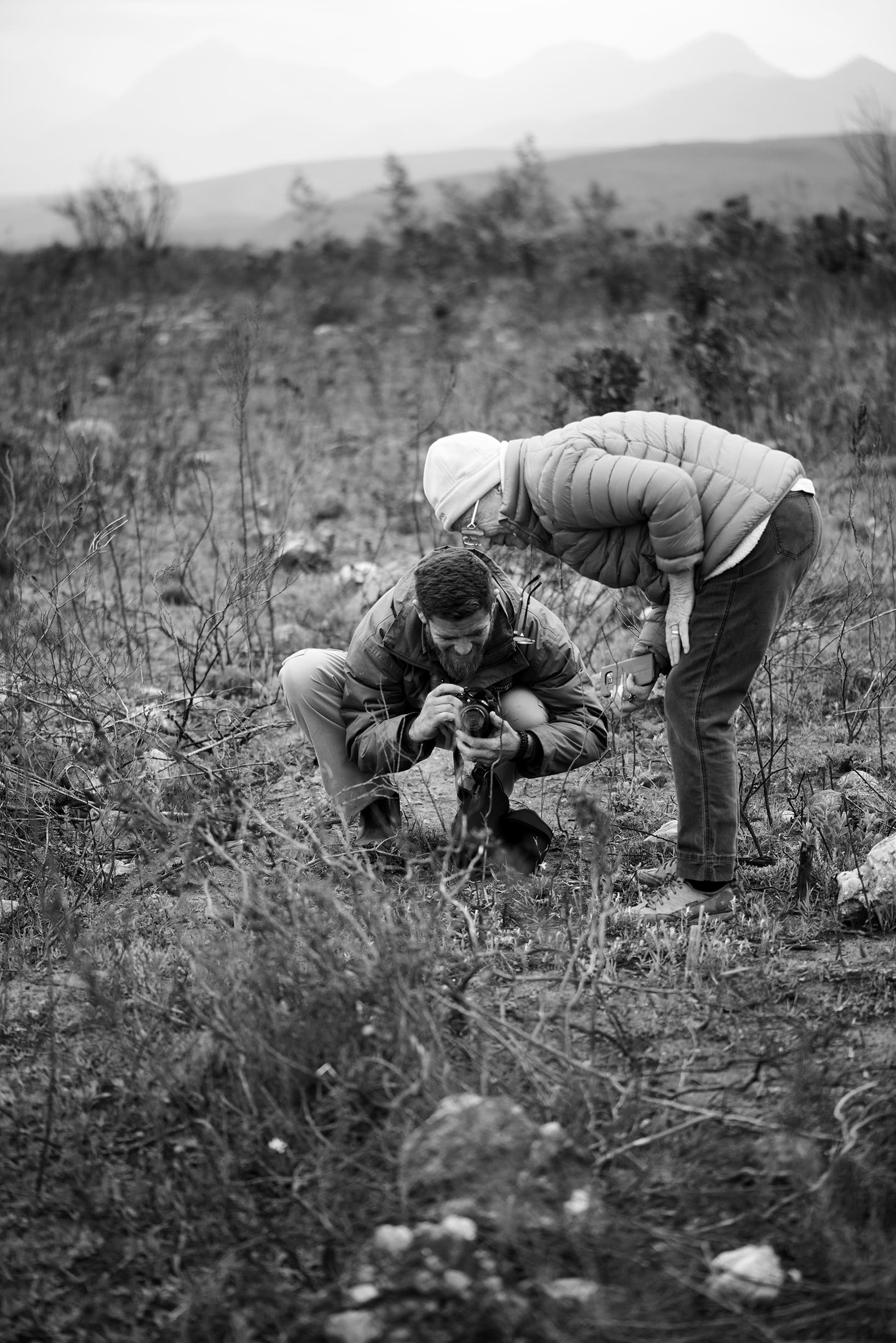 The Orchid That Was Waiting to Be Seen — secondary
