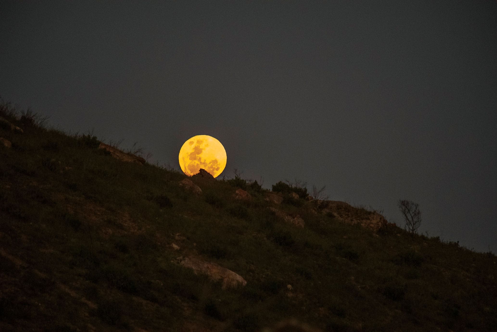 Moon rise - Photograph by Raquel de Castro Maia